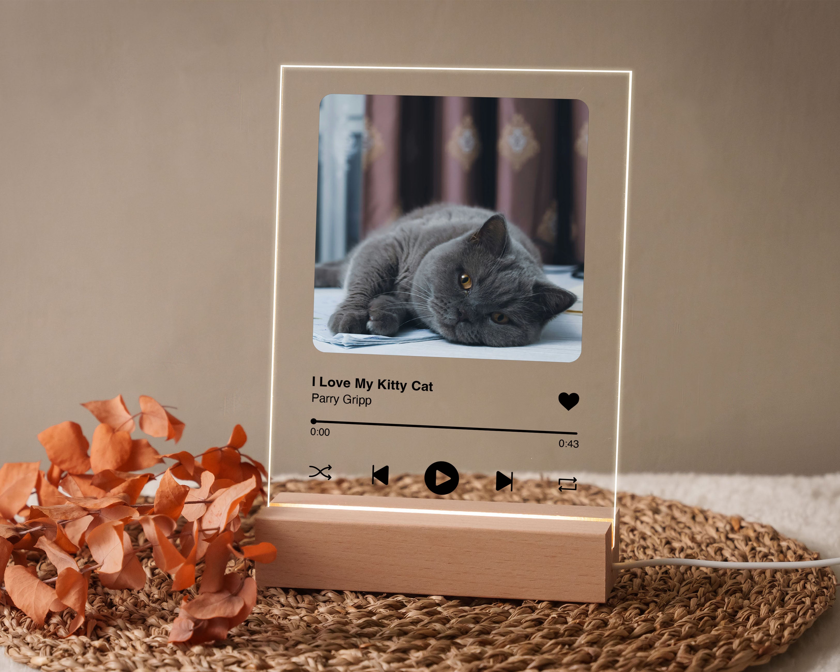 Light Up Picture Song Plaque for Family